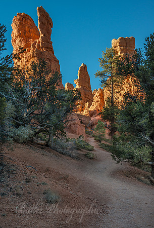 Red Canyon, Utah