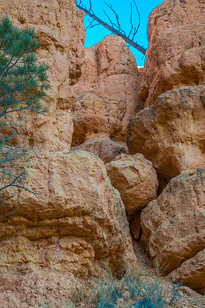 Red Canyon, Utah