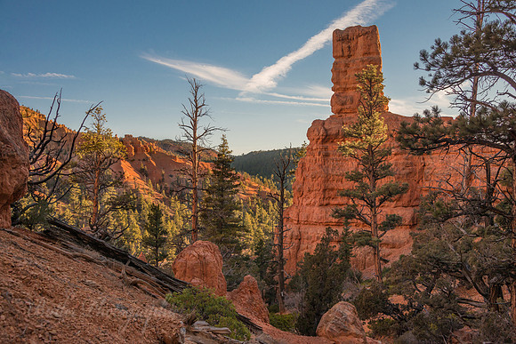 Red Canyon, Utah
