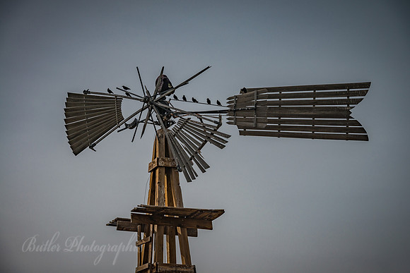 Windmill Along Highway 12