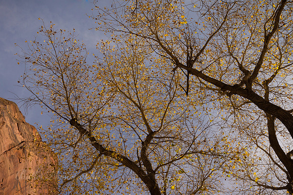 To the Sky