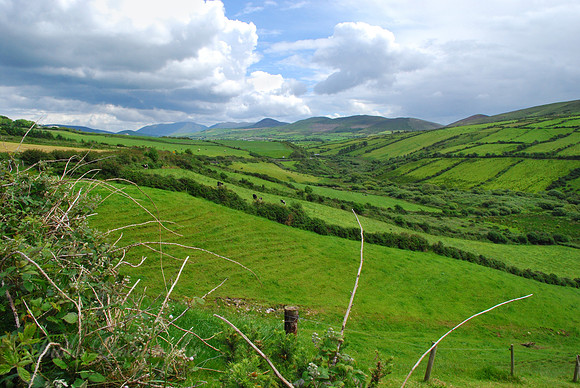 Ireland -  Conner Hill - Dingle Peninsula