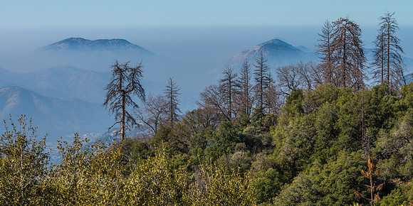 Just Another View