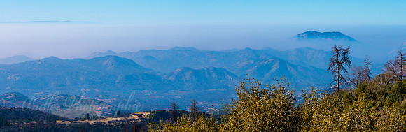 The Valley
