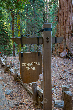 Congress Trail Head