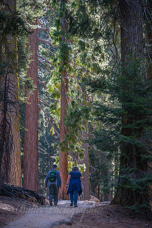 Congress Trail