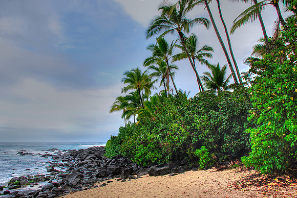North Shore #2 - Hawaii