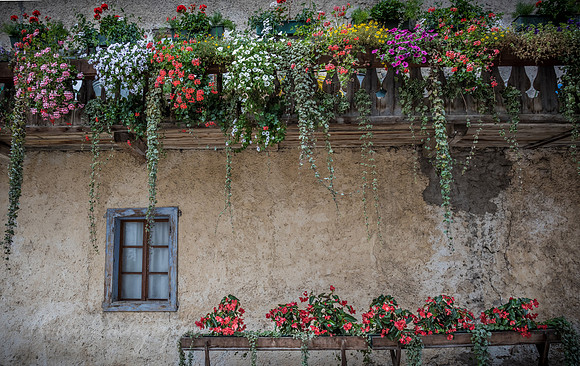 Beauty of Cortina - Italy