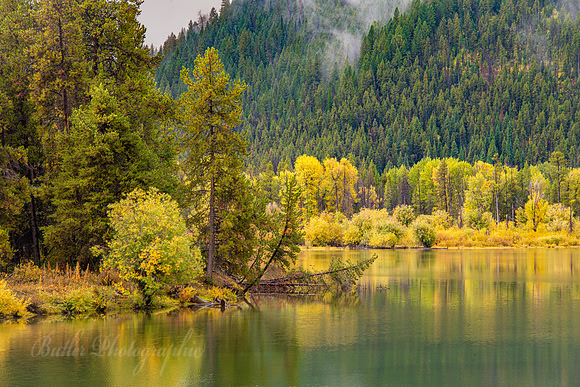 Oxbow Bend Reflection