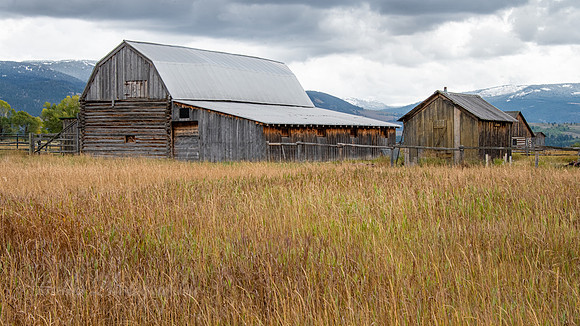 Andrew & Ida Chambers Homestead