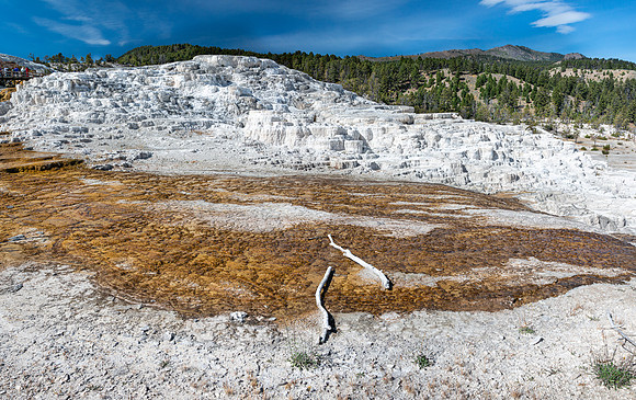 Mammoth Hot Springs - Lower Terrace 4