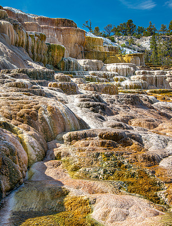 Mammoth Hot Springs - Lower Terrace 5