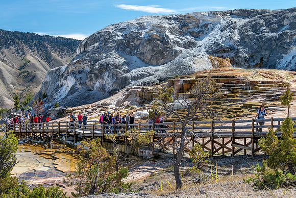 Mammoth Hot Springs - Lower Terrance