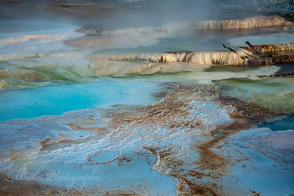 Mammoth Hot Springs - Colors
