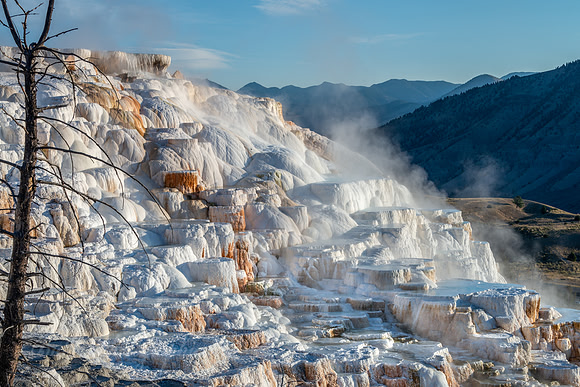 Mammoth Hot Springs - Canary Spring