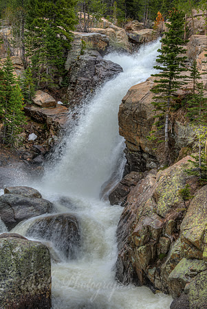 Alberta Falls - Glacier Creek