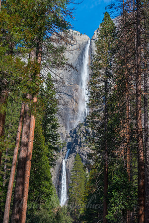 Upper & Lower Falls