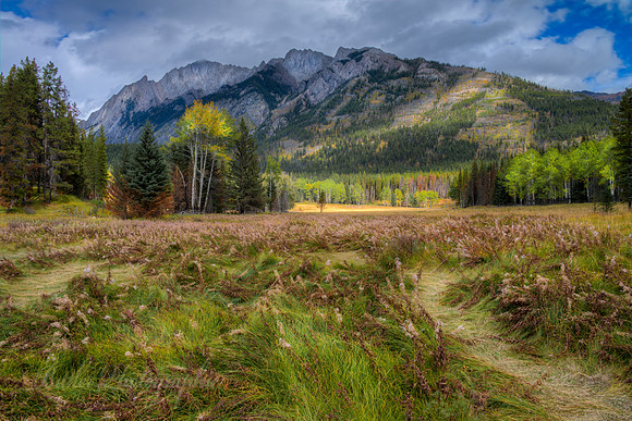 Banff Meadow