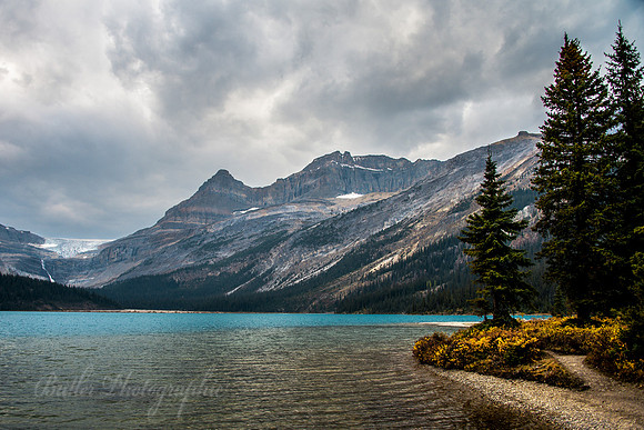 Bow Lake #2