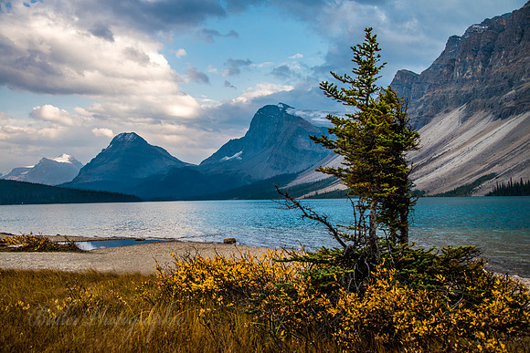 Bow Lake
