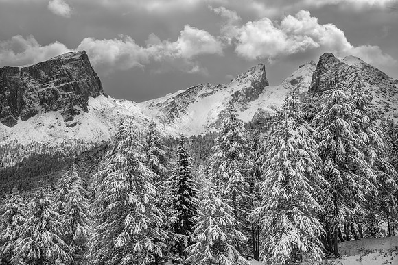 Croda da Lago Group - Italy