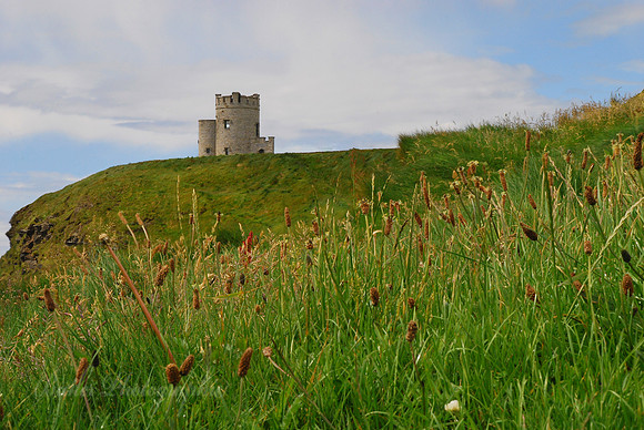Ireland - Cliffs of Moher - O'Brien's Tower built in 1835