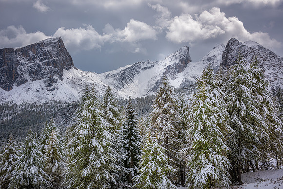 Croda da Lago Group - Italy