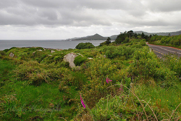 Ireland - Ring of Kerry - Castle Cove