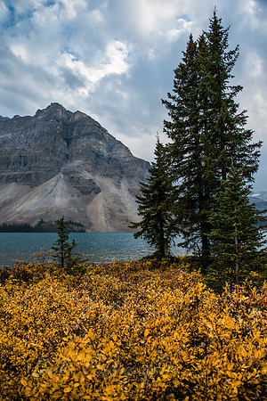 A Little Color - Bow Lake