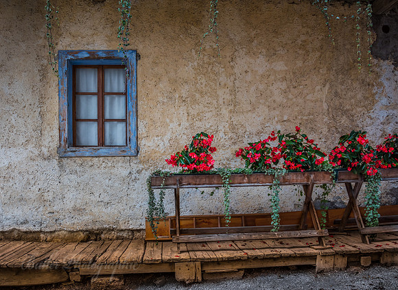 Beautiful Windows & Flowers - Italy