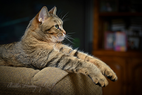 My Superman Pose