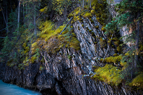 Kicking Horse River - Natural Bridge Area