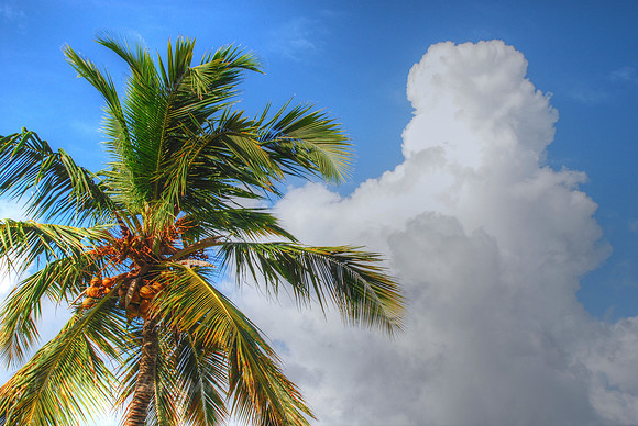 Aruba - 3